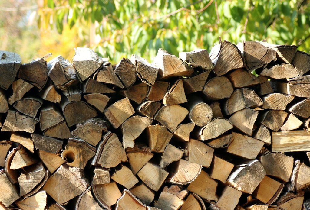 wood, tree, fuel